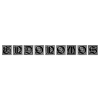Endonomos